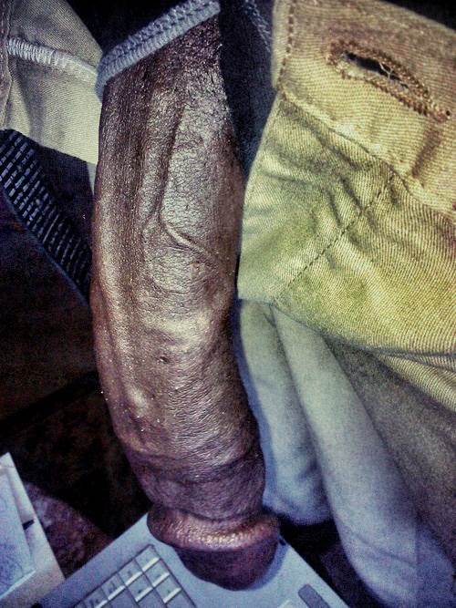 Image #160
